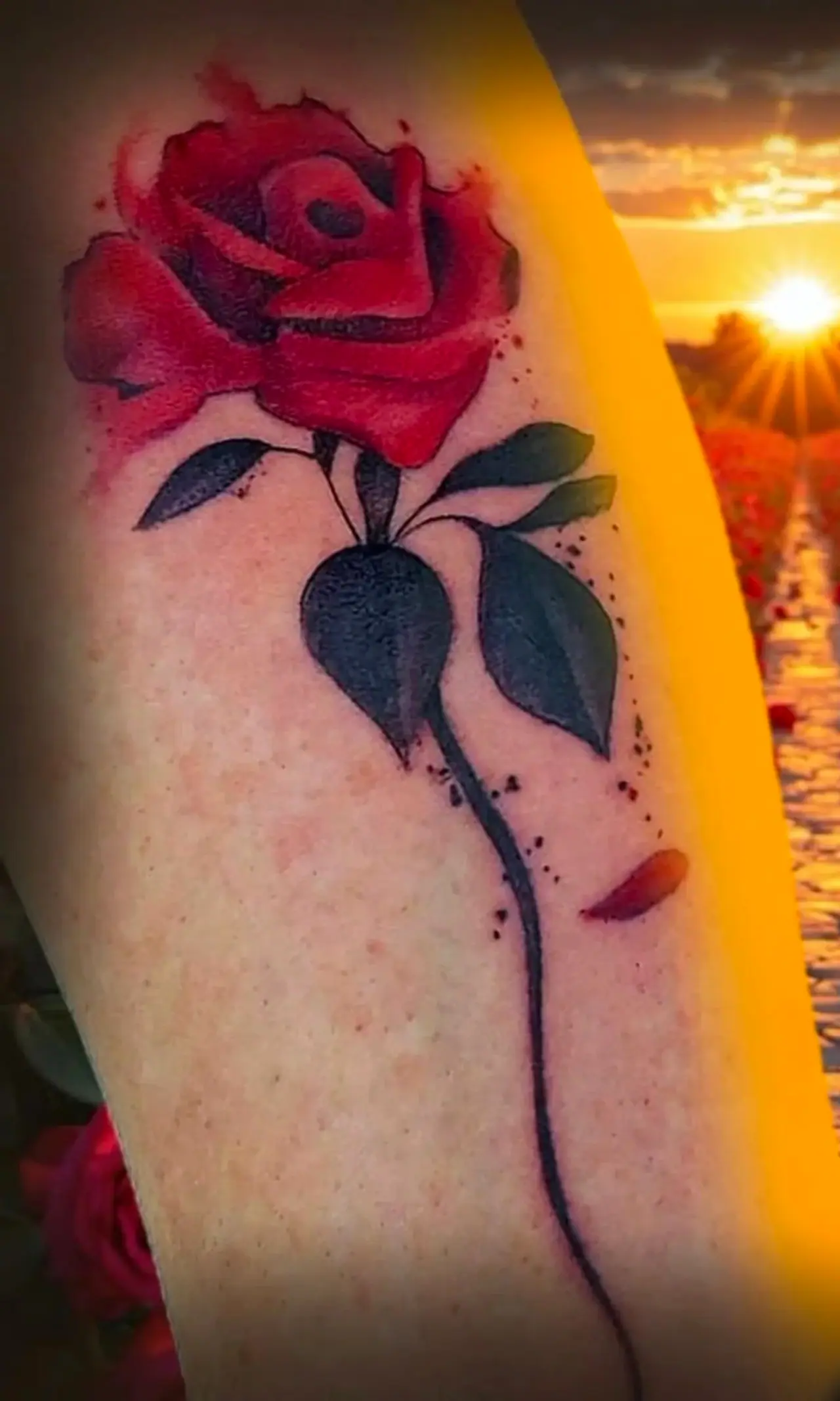 Rosa vermelha em aquarela tatuada no antebraço